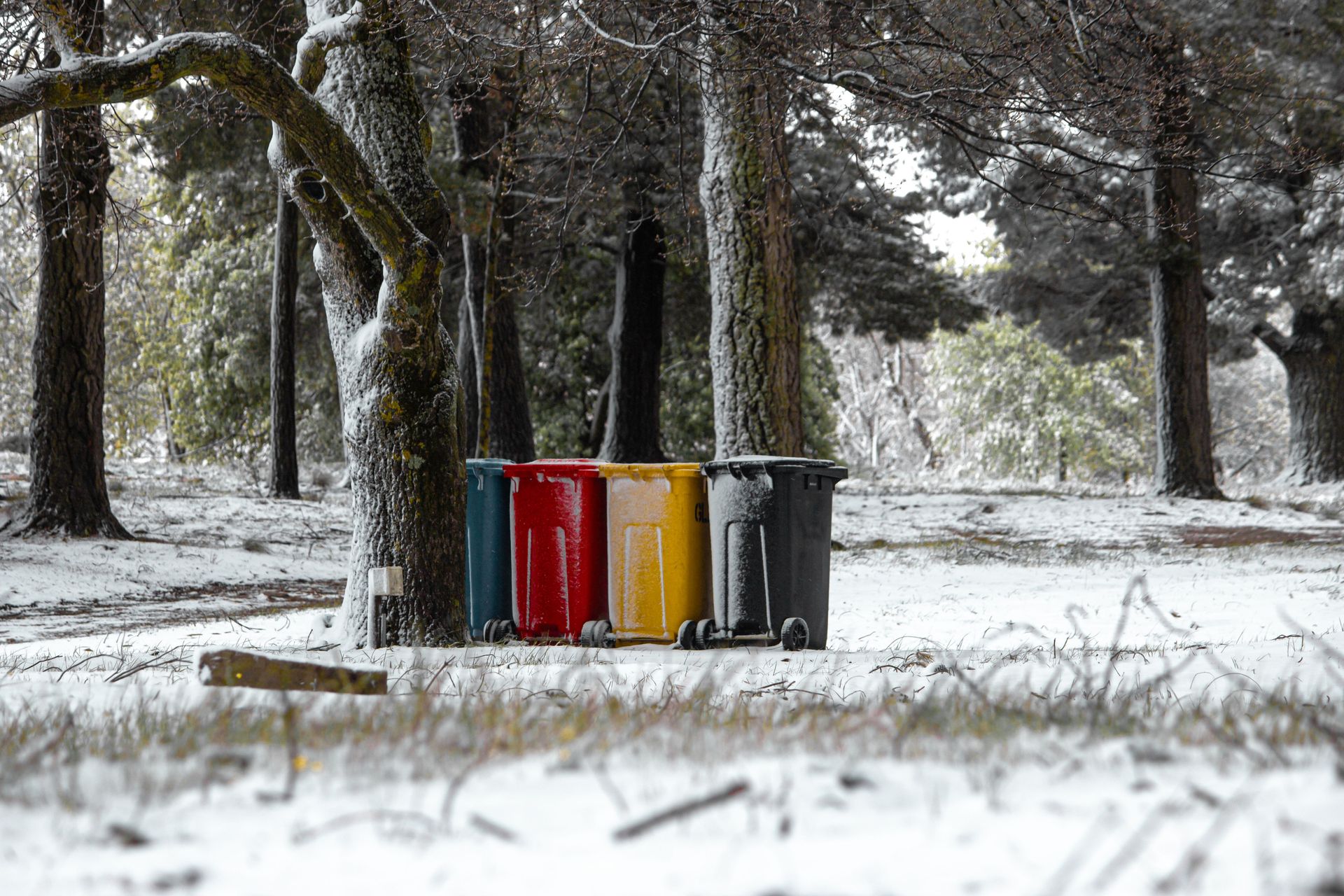 Multicolored recycling bins in a snowy winter park setting, highlighting waste management.